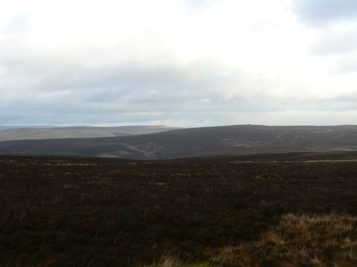 Goyt's Moss Goyt's Moss